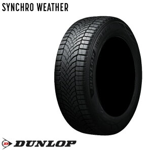 _bv SYNCHRO WEATHER 205/45R17 88V XLDUNLOP VNEFU[ pԗpI[V[Y^C