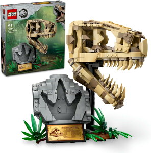 S LEGO WVbNE[h ̉ T-bNX W  ߋ v[g a ubN NX}X j̎q ̎q q 9 10 11 w    76964