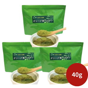 I[uAJf~[ I[utpE_[ 40g 100g [Og X[W[ N i`