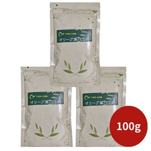 I[uAJf~[ I[utpE_[ 40g 100g [Og X[W[ N i`