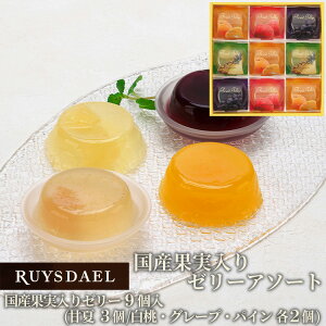 Eco50OFFII/ Ag500~N[|zz/ RUYSDAEL (CX_[) Yʎ[[A\[g 9 iÉ×3AEO[vEpC×e2) y[[ t[c[[ W