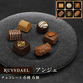 バレンタイン プチギフト スイーツ お菓子 RUYSDAEL (ロイスダール) アンジェ (チョコレート6個)【チョコレート ショコラ チョコ 詰め合わせ リボン 1000円】