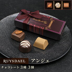 バレンタイン プチギフト スイーツ お菓子 RUYSDAEL (ロイスダール) アンジェ (チョコレート3種計3個)【チョコレート ショコラ チョコ 詰め合わせ リボン 600円】