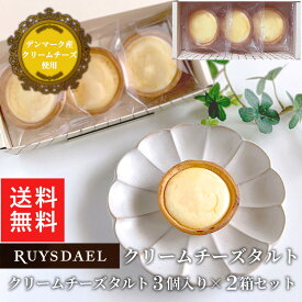 初回限定、次回使える500円クーポン配布中/ ※工場より直送・冷凍出荷 スイーツ お菓子 RUYSDAEL (ロイスダール) クリームチーズタルト(3個入り2箱セット)【チーズタルト チーズケーキ 冷凍ケーキ 個包装】