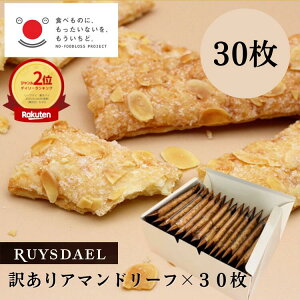 Ag500~N[|zz/ ܖ1130 󂠂  AEgbg XC[c َq RUYSDAEL (CX_[) 󂠂A}h[t 30 ypC [tpC XeBbN