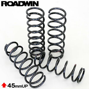 Wj[JB23p AsI ROADWIN X[p[悵NA2000Ti RCXvO1䕪ZbgiJB23j