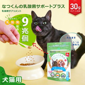 【新発売】犬用 猫用 なつくんの乳酸菌 サポートプラス 30g 【公式】 腎臓の健康維持に 犬 猫 乳酸菌 かつお節味 サプリメント 冬虫夏草 酪酸菌 ブルーベリー茎エキス くにさと35号 シャンピニオンエキス デンタブロック乳酸菌 サプリ 国産 免疫力の維持 食欲不振 ふりかけ