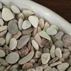 SALE399199~!! AWAG GXjbN õfR[V Xg[ VR IG^G JbvyõAWAz ̓ v[g  Z930104A Bali Direct