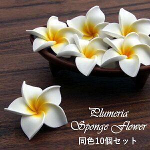 OUTLET SALE450390~!! vAԁyF10Zbgz tFCNt[ t[ tWpj AWAG EFfBO oG nCA t[V[ ɕ