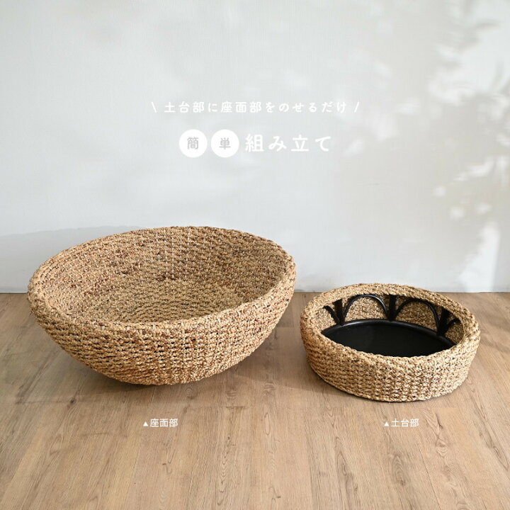 楽天市場】≪SALE≫39999→34999円!!ウォーターヒヤシンス パパサン 