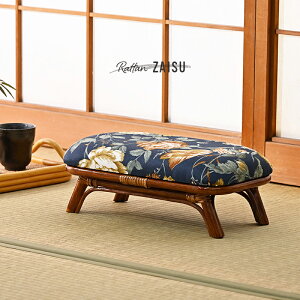 AWAƋ ^ ֎q 1r 2FWJ CG[ lCr[ ِ NbV y a a_ Ƌ a rO qp  ze  򗷊 _ Vv [  C07HRA