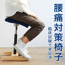 バランス シナジー(組立式) 在宅勤務 椅子 在宅ワーク チェア バランスチェア 大人 | 腰痛 対策 椅子 腰痛椅子 体幹 鍛える 姿勢が良くなる 椅子 姿勢 対策 猫背 矯正 いす オフィスチェア イス 日本製 高さ調整 120度座り