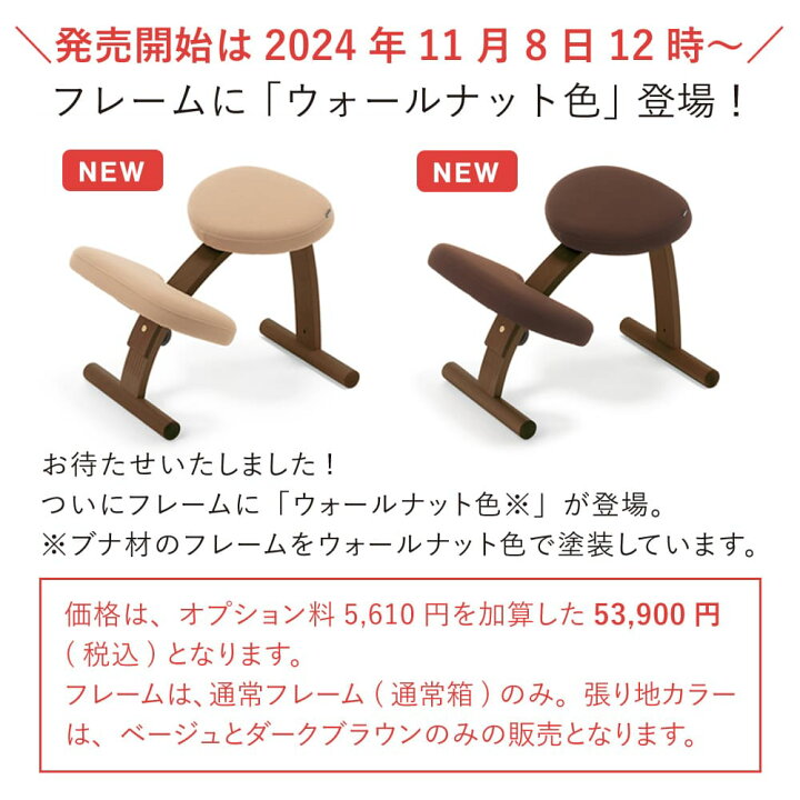 楽天市場】【通算118週1位！】バランスチェア バランス イージー 学習 