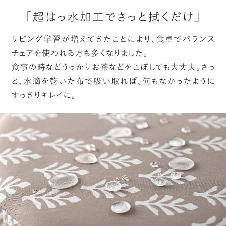 楽天市場】バランスチェア バランスイージー 推しカバー マイルド 