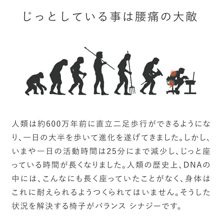 楽天市場】【90日返金保証付】バランス シナジー(組立式) バランスラボ 