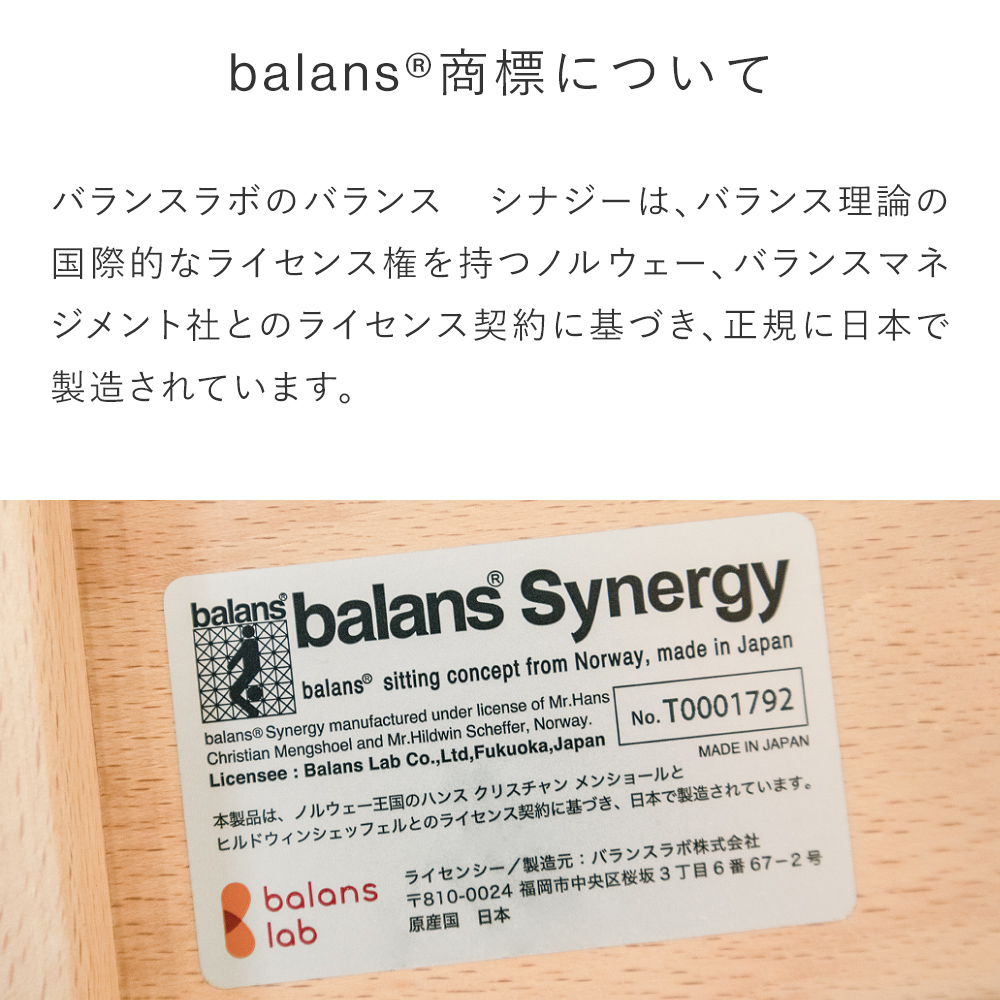 美品】Balans synergy バランスシナジー 腰痛対策 椅子 www.teamsoft