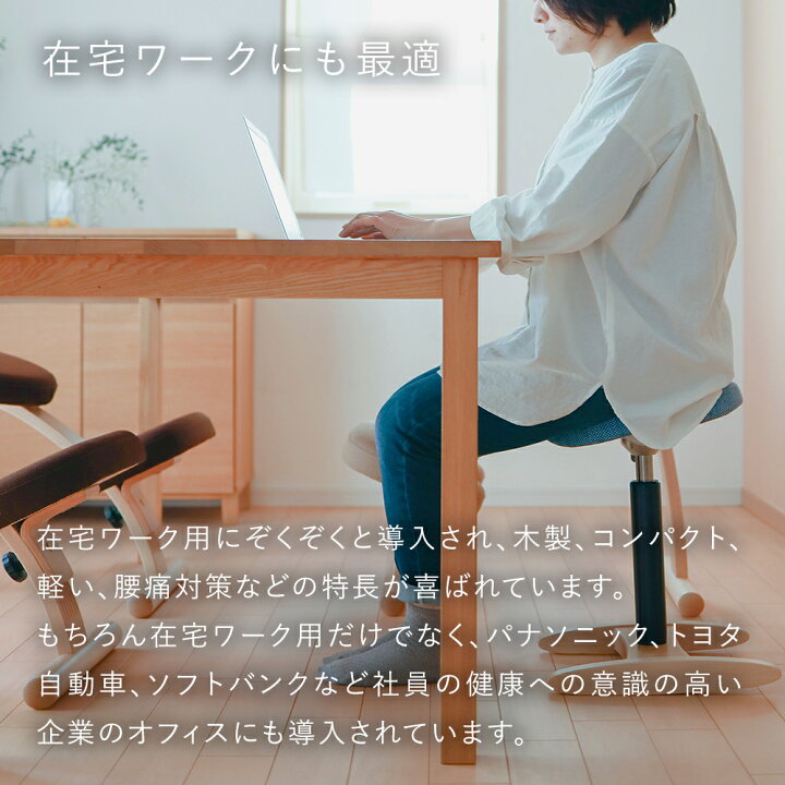 楽天市場】【90日返金保証付】バランス シナジー(組立式) バランスラボ 