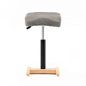 バランスシナジー 専用 カバー シックカバー クッションなしタイプ:ラウンド シート 用 スクエア シート 用専用撥水カバー のみ|腰痛 椅子 腰痛 いす 体幹 鍛える 椅子 姿勢矯正 イス バラ