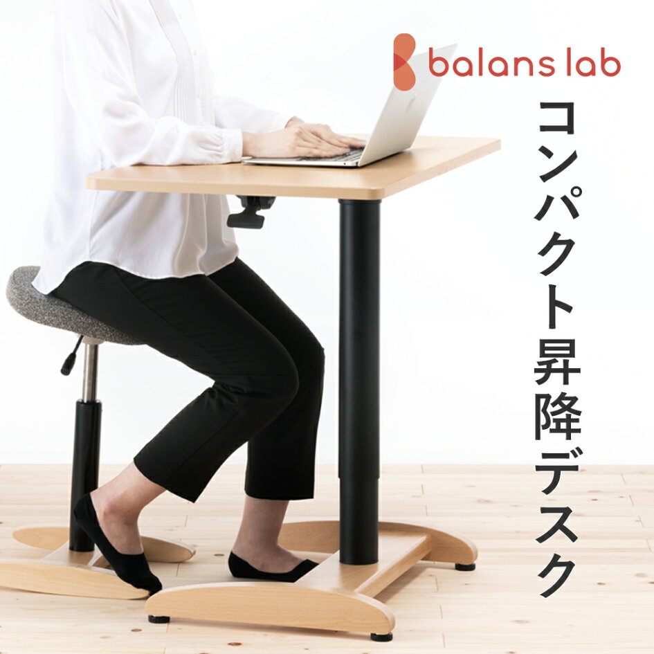 ☆バランスラボ バランスイージー 通常フレーム サカモトハウス 腰痛 