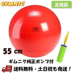 バランスボール 55cm ギムニクの人気商品 通販 価格比較 価格 Com