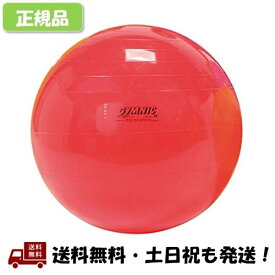 ギムニク (GYMNIC) ギムニク 55 レッド 赤 バランスボール 55cm ヨガボール LP9555 -正規品-
