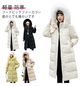 4color t@[t t[h x`R[g O_ER[g fB[X _ER[g ȓ _EWPbg ~ h  傫TCY aC EFXgxg GKg A