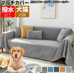 傫TCY 6COLOR Vi 􂦂  \t@[Jo[  l| }`Jo[ 邾 I IȂ 唻 邾 \t@xbhJo[ ybg L p \t@[ V[c 