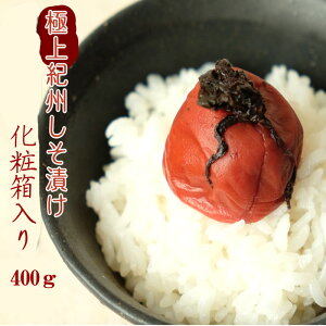 ɏIBД~i嗱j 400gϔ ~  ~ IB썂~ { ~ _  ~ V a sy yY yY nEB