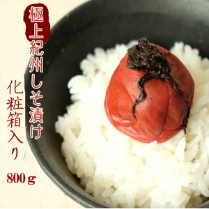 ɏIBД~i嗱j 800gϔ ~  ~ IB썂~ { ~ _  ~ V a sy yY yY Ε