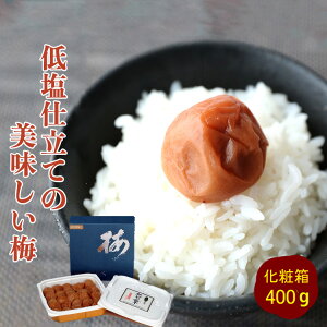 ቖdĂ̂~@400gϔ ~ ~ IB썂~ { ~ _  ~ V a sy yY yY Ε