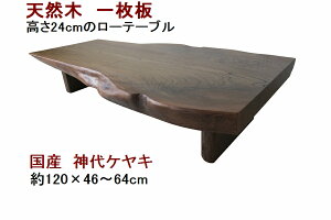 [e[u Z^[e[u  VR C ꖇ V^_PLE120cm ^_PLE24cm̒Ⴂ[e[u y1_̏izy{ Y ؐ Vz