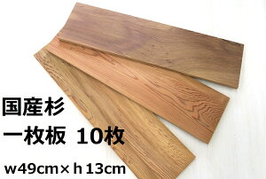 ̔10Zbg ꖇ w49cm×h13cm×0.9cm yYz