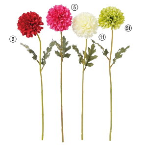 セロリ 花の人気商品 通販 価格比較 価格 Com