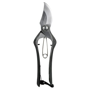 @  ASNK10709216|G݁Ezr[ECeA G Gݕiyϕszywsz