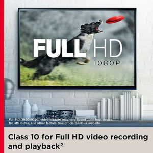 SanDisk microSDXCJ[h 512GB Ultra UHS-1 A1 R:150MB/s COe[i ASNSDSQUAC-512G-GN6MN|p\R tbV[ SD[J[hEMMC