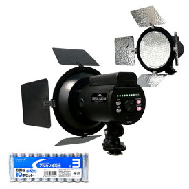 LPL LEDトロピカル + アルカリ乾電池 単3形10本パックセット ASNVLG-2160S+HDLR6/1.5V10P|カメラ カメラアクセサリー カメラ関連製品