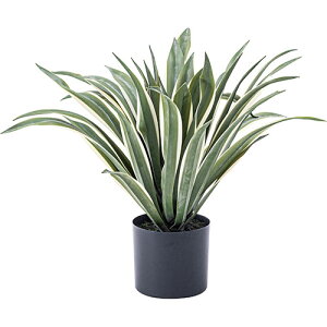 J tFCNO[ AKx O[ ASNGRN-13|G݁Ezr[ECeA CeA [Ƌ