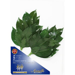 A&K v~A OgY֗tgp STCY({[^Cv) ASNSKK-008SV|G݁EϗtAECeA G Gݕi