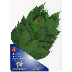 A&K v~A OgY֗tgp MTCY ASNSKK-004PM|G݁EϗtAECeA G Gݕi