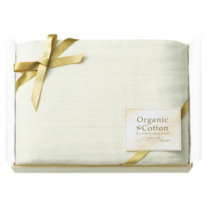 I[KjbNRbg ܏dK[[}`ѕz(Yؔ) ASN22415904|G݁Ezr[ECeA CeA Q