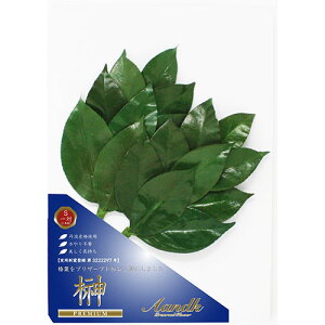 A&K v~A OgY֗tgp STCY ASNSKK-005PS|G݁EϗtAECeA G Gݕi