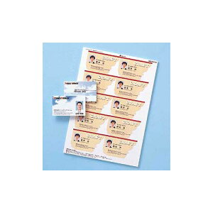 【10個セット】 サンワサプライ カラーレーザー用名刺(つやなし・マット) ASNLBP-MMC10NX10|パソコン オフィス用品 レーザー用紙