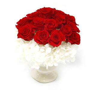 A&K �M�t�g�V���[�Y ���蕨�ɍœK�ȃv���U�[�u�h�t�����[ ���[�Y���[�W�� ASNMF-13|�G�݁E�z�r�[�E�C���e���A �G�� �G�ݕi