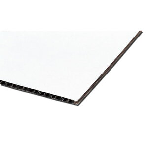 y10g×5Zbgz ARTEC Жʔi{[ASNATC45509X5|G݁Ezr[ECeA G Gݕi