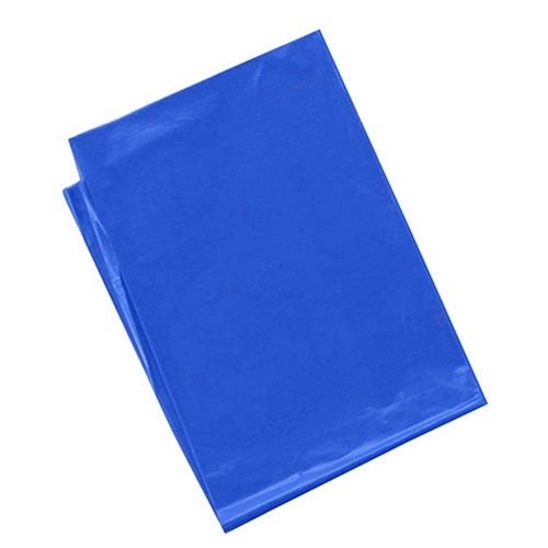 ARTEC 青 カラービニール袋(10枚組) ASNATC45534X5|雑貨・ホビー・インテリア 雑貨 雑貨品