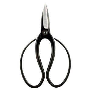 @ A ASNK20781418|G݁Ezr[ECeA G