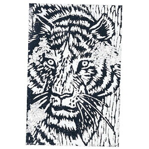 y20Zbgz ARTEC pŖ A nKL(150x100x10) ASNATC20310X20|G݁Ezr[ECeA G Gݕi