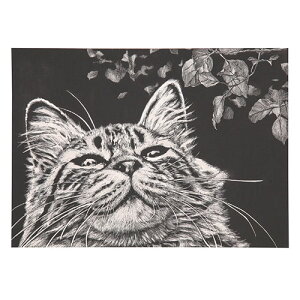 ARTEC XNb`{[hgȂ ASNATC13177|G݁Ezr[ECeA G Gݕi