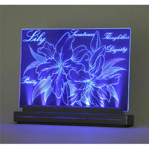 ARTEC CgXNb` A5 ASNATC13347|G݁Ezr[ECeA G Gݕi