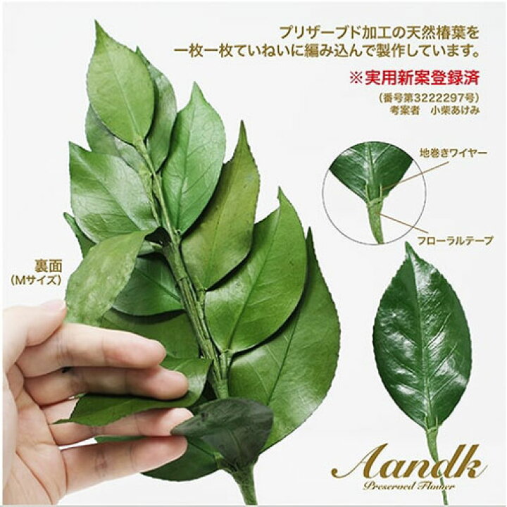 楽天市場 A K プレミアム荒神松 丹波産高級椿葉使用 Ssサイズ Asnkjm 005ss 雑貨 花 ガーデニング インテリア 雑貨 雑貨品 造花装飾専門店 緑花堂